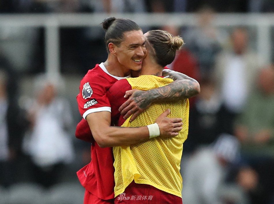 对球队结构 对球队结构